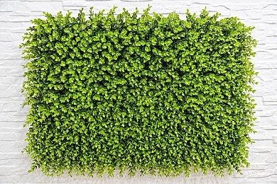 《天国的子午线：英灵殿》Steam页面上线 支持中文